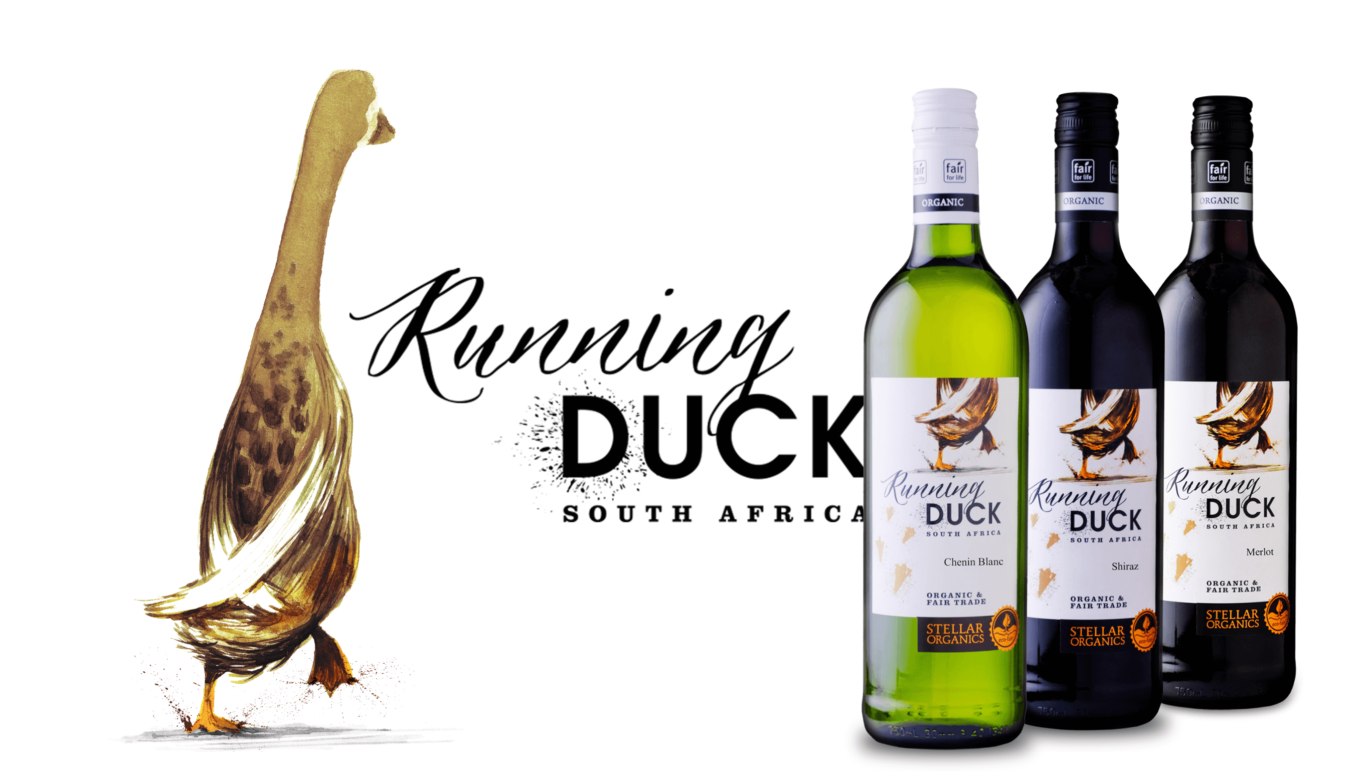 Running shop duck wine